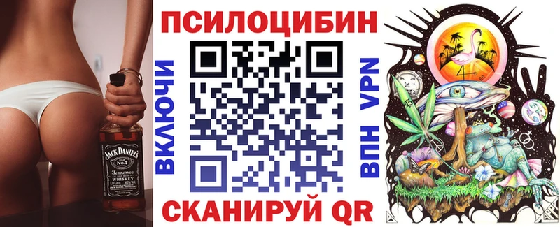 Галлюциногенные грибы Psilocybe Лесной